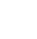 Las Vegas Raiders